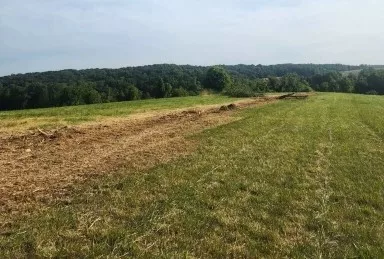 Land Clearing 3 land clearing 3 jpg